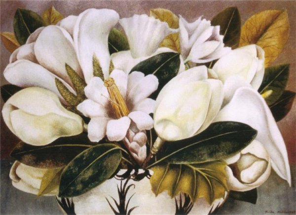 Magnolias